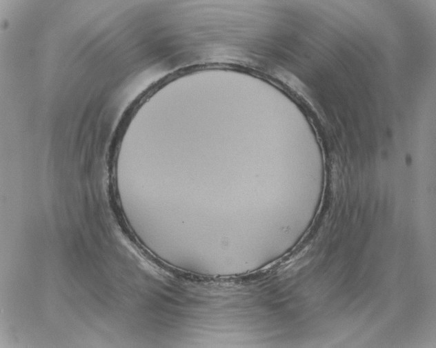 X0000064041024200602242315