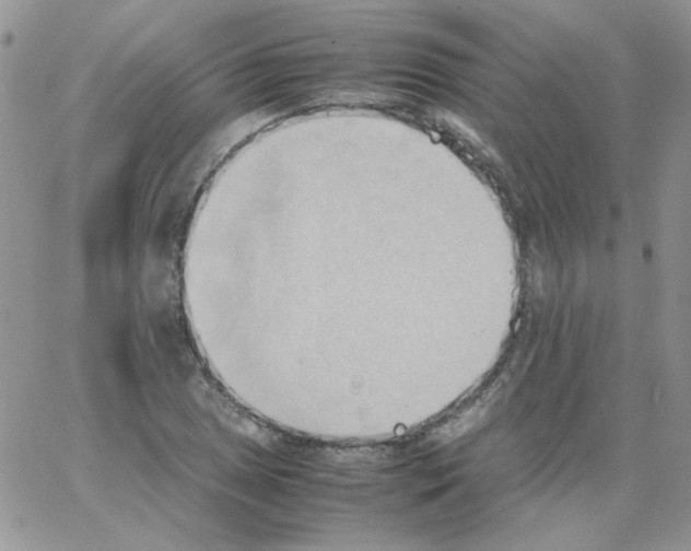 X0000064041025200602242315