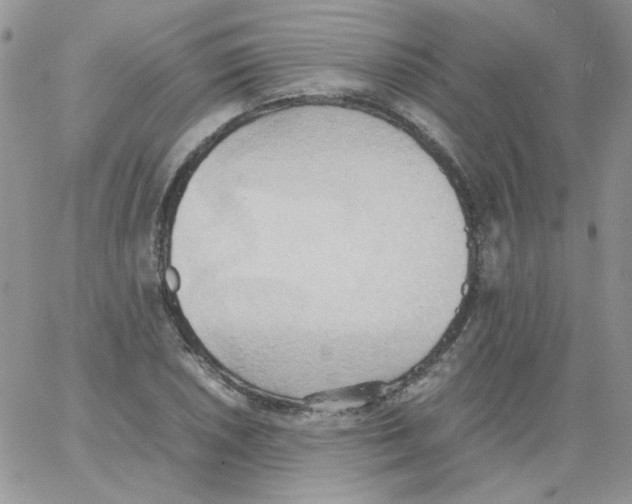 X0000064041026200602242315