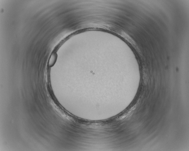 X0000064041028200602242315