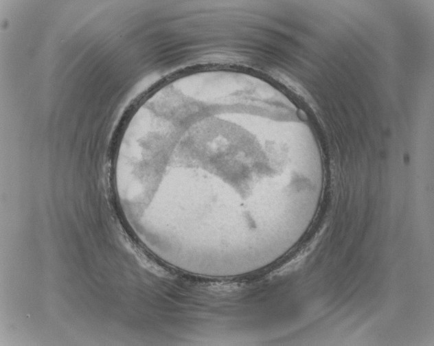 X0000064041029200602242315