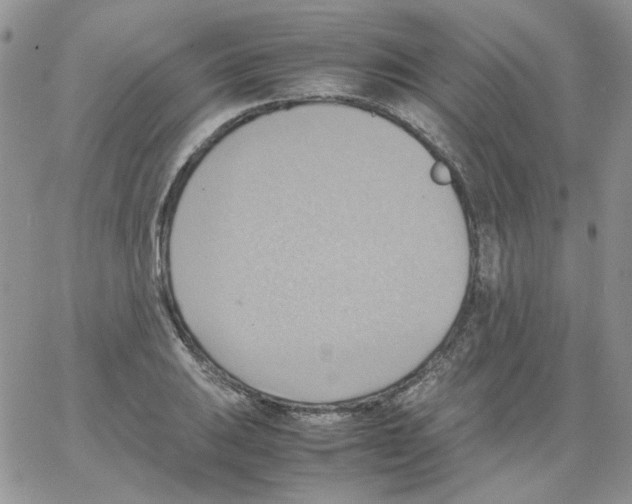 X0000064041031200602242315