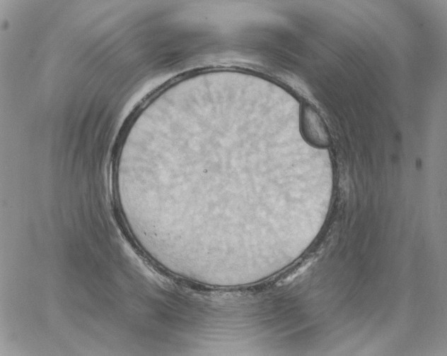 X0000064041032200602242315