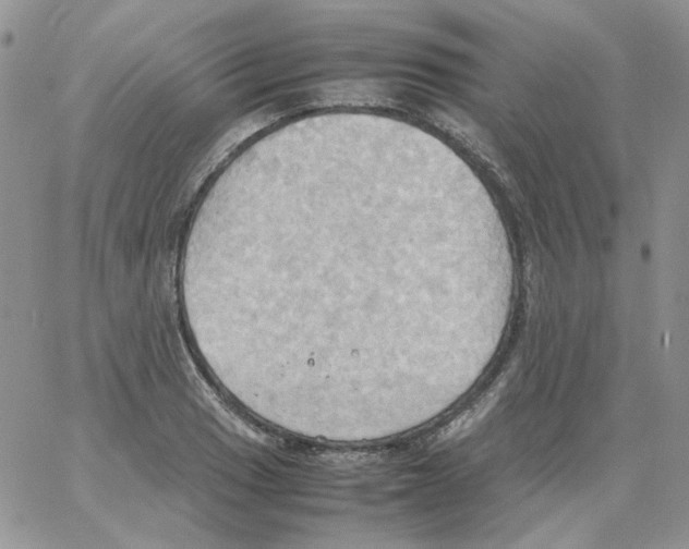 X0000064041033200602242315