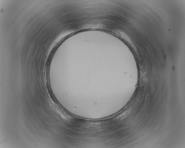 X0000064041035200602242315