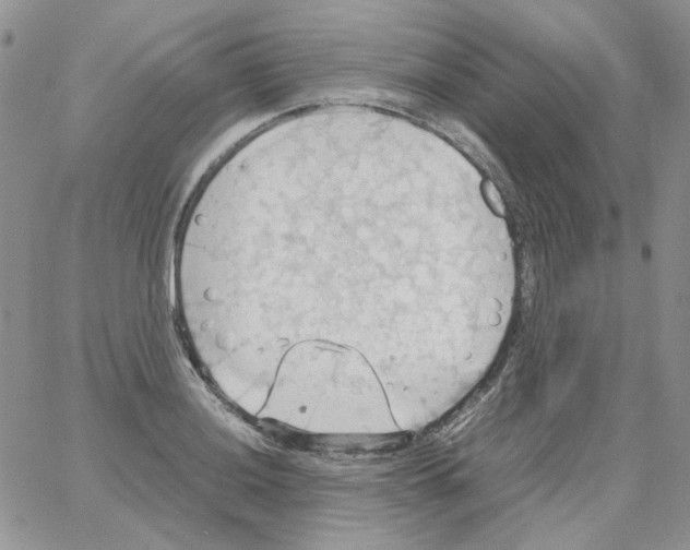 X0000064041036200602242315