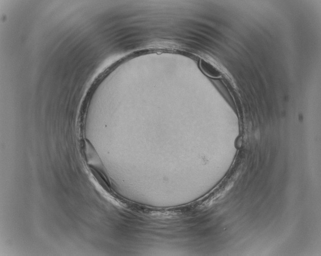 X0000064041037200602242315