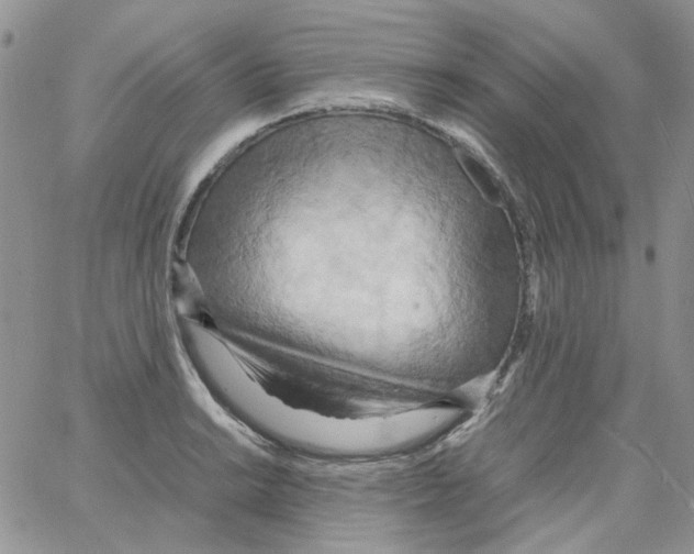 X0000064041038200602242315