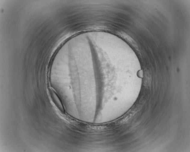 X0000064041039200602242315