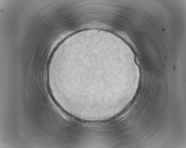 X0000064041040200602242315