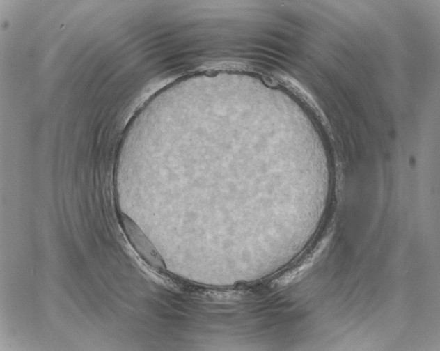 X0000064041041200602242315