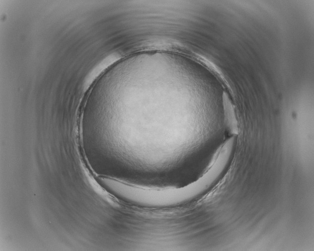 X0000064041042200602242315