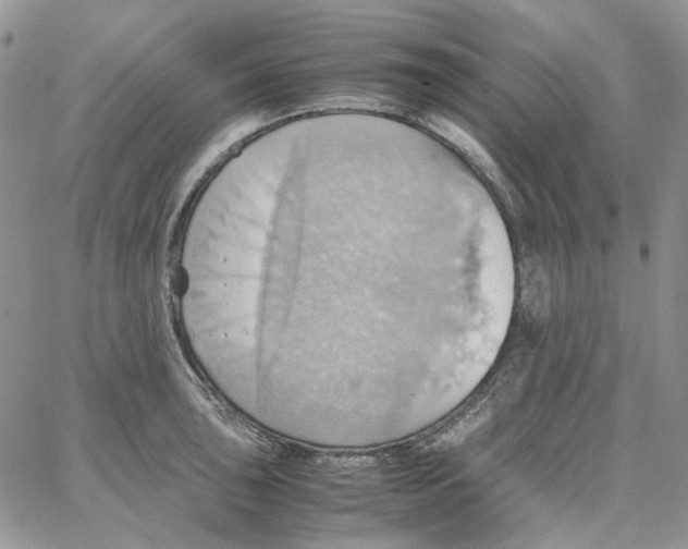 X0000064041043200602242315