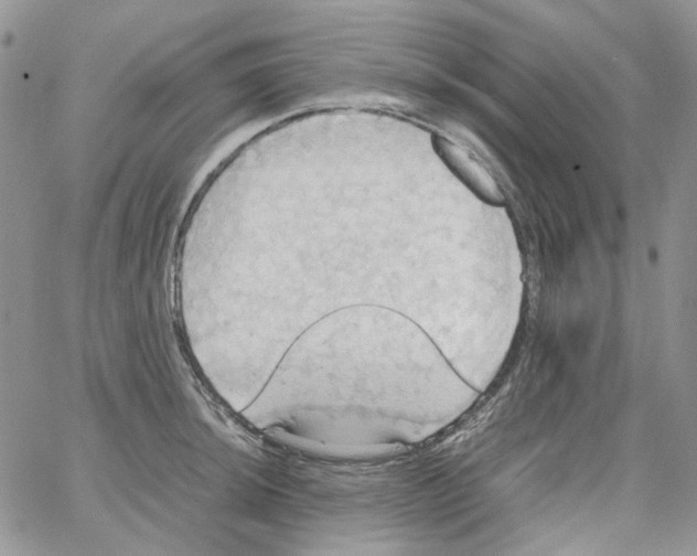 X0000064041044200602242315