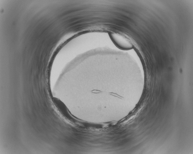 X0000064041045200602242315