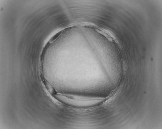 X0000064041046200602242315