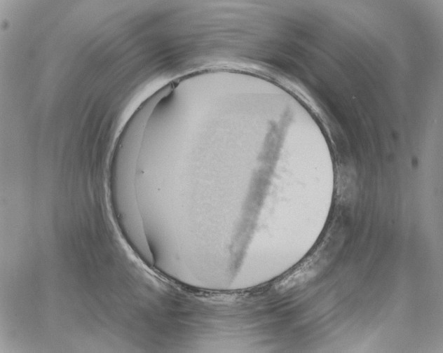 X0000064041048200602242315