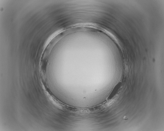 X0000064041050200602242316