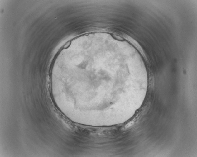 X0000064041051200602242316