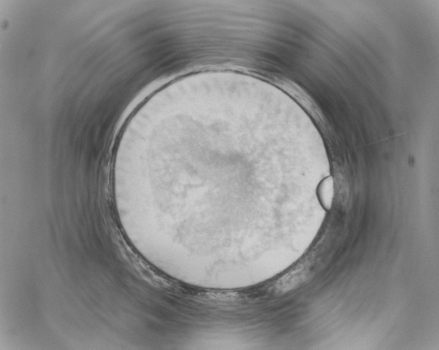 X0000064041052200602242316