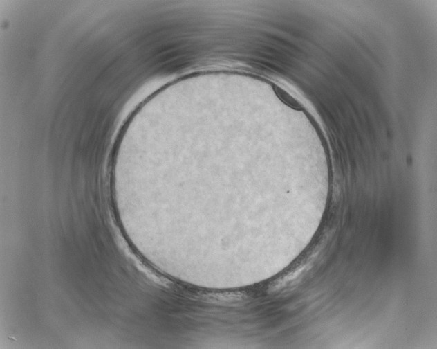 X0000064041053200602242316