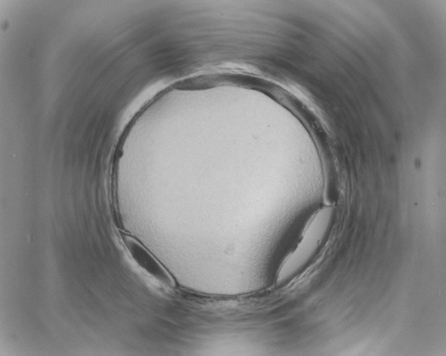 X0000064041054200602242316