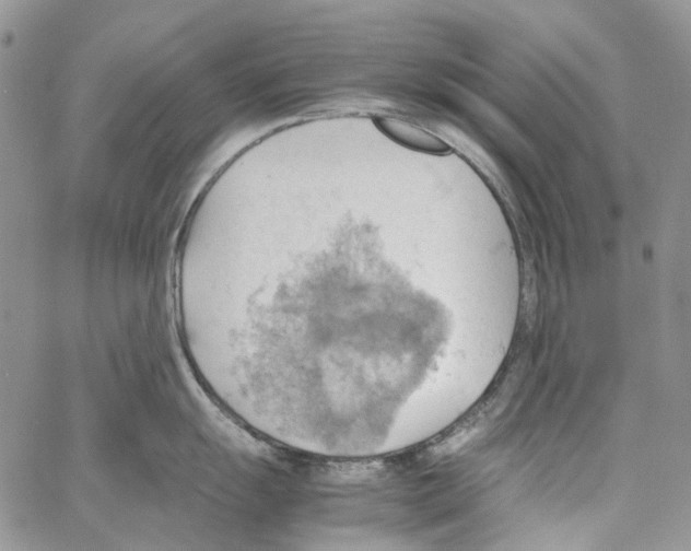 X0000064041055200602242316