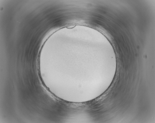 X0000064041056200602242316