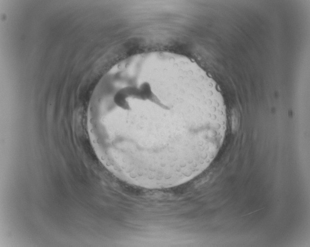 X0000064041059200602242315