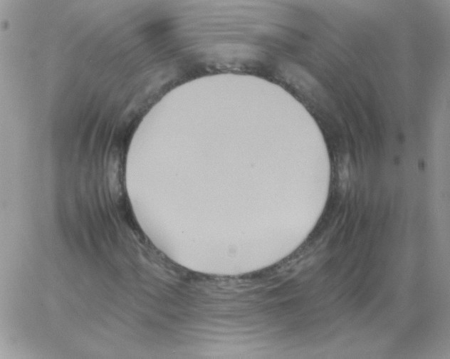 X0000064041060200602242315