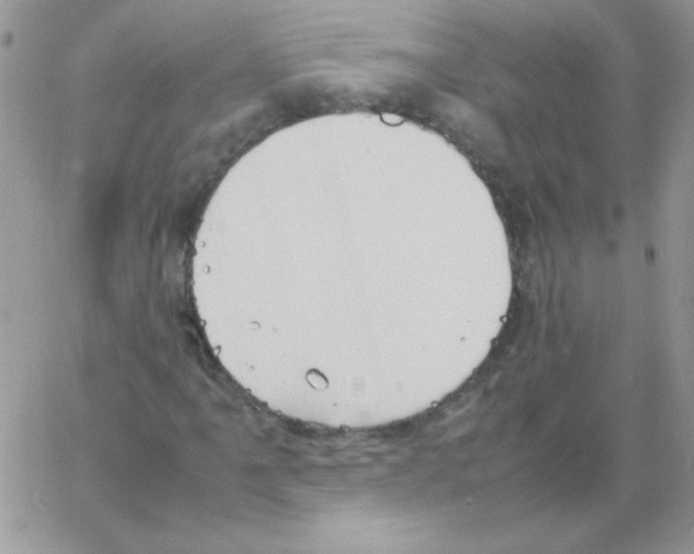 X0000064041061200602242315