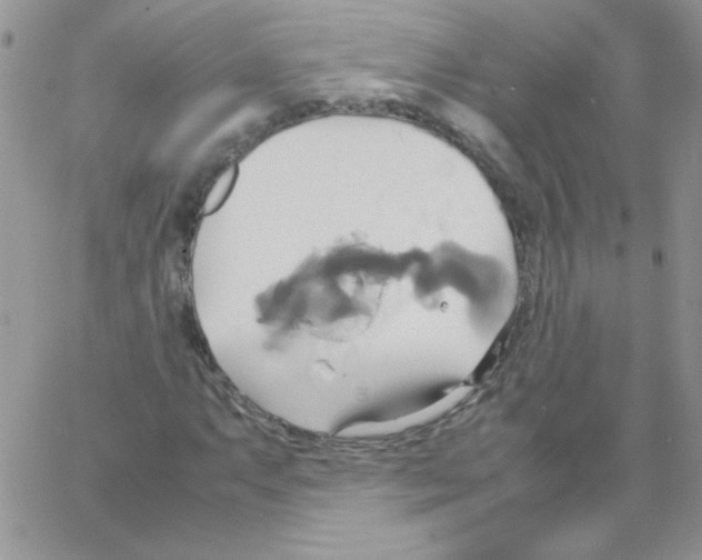 X0000064041063200602242315