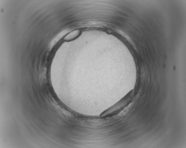 X0000064041066200602242315