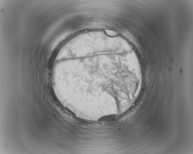 X0000064041067200602242315