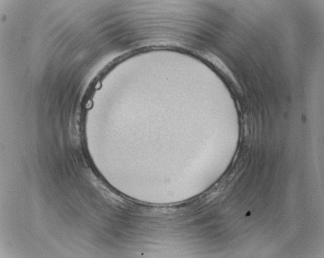 X0000064041068200602242315