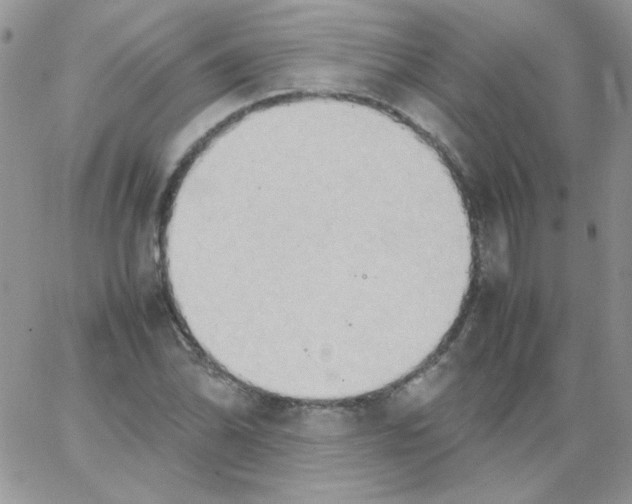 X0000064041070200602242315