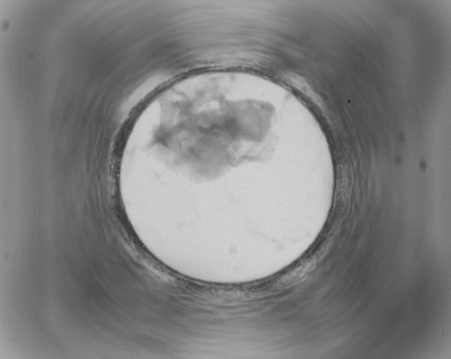 X0000064041071200602242315