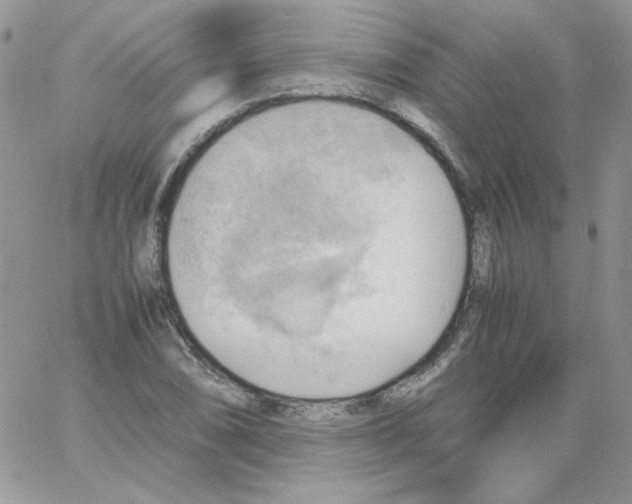 X0000064041074200602242315