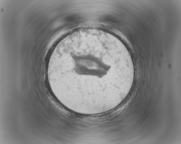 X0000064041075200602242315