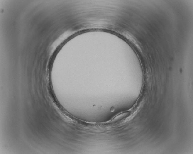 X0000064041077200602242315