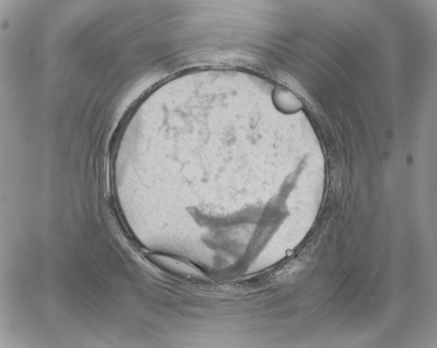 X0000064041079200602242314