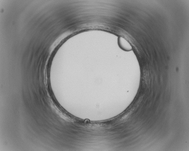 X0000064041082200602242314