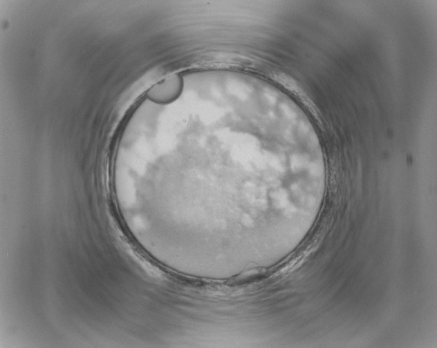 X0000064041083200602242314