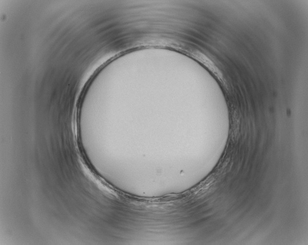 X0000064041084200602242314