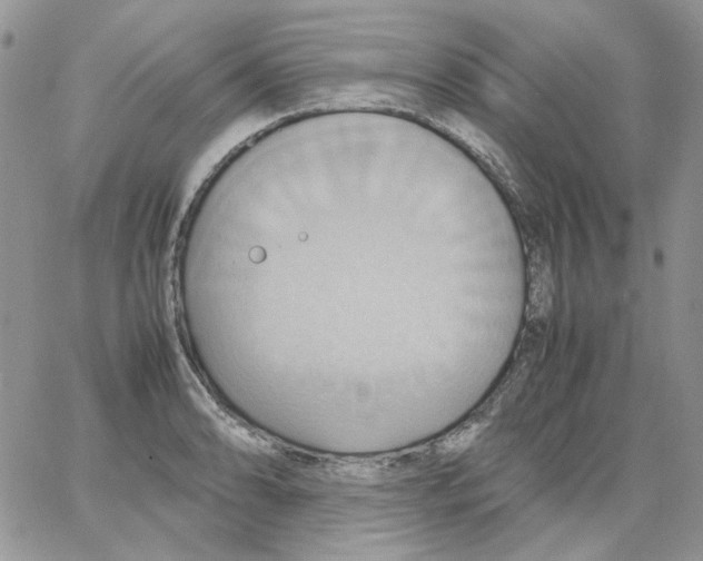 X0000064041086200602242314