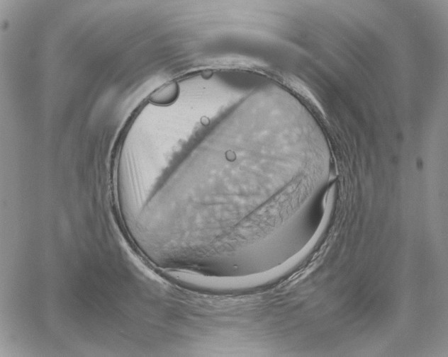 X0000064041087200602242314