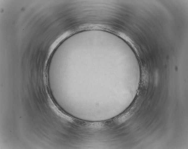 X0000064041090200602242314