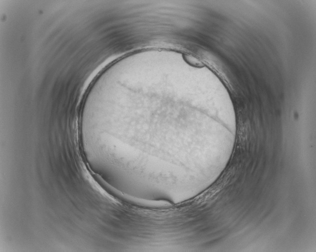 X0000064041092200602242314