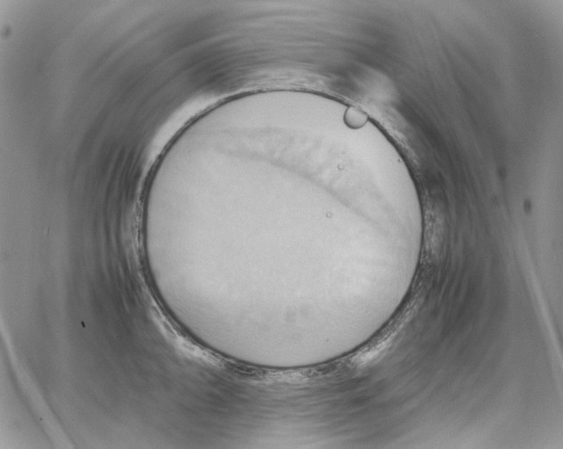 X0000064041094200602242314