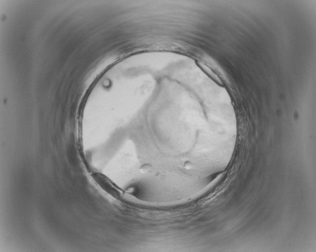 X0000064041095200602242314